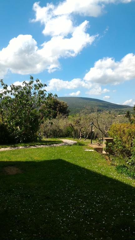 Borgo Montauto Villa San Gimignano Exteriör bild